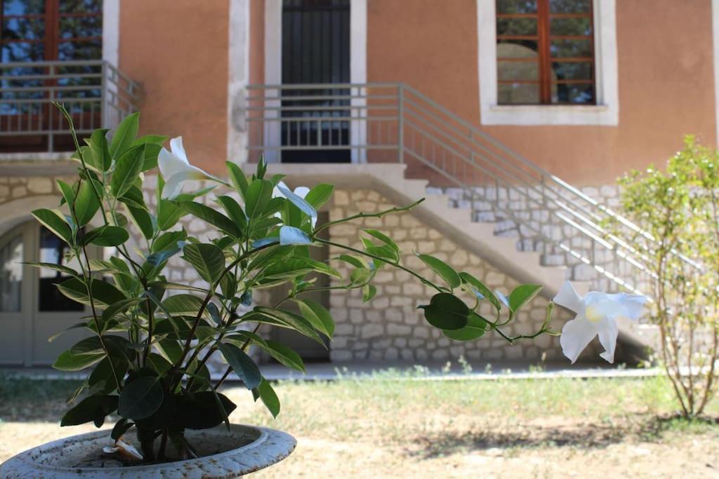 La Provencale Daire Uzès Dış mekan fotoğraf